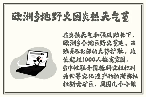 天美果冻面试邱玲珑